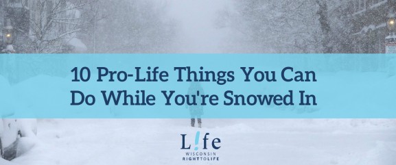 10 Pro Life Things You Can Do While Youre Snowed In Wisconsin Right